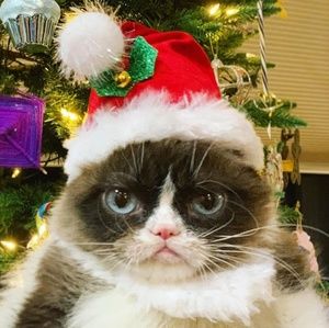 Meet your Posher, Esteban